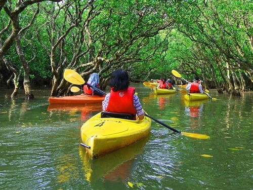 Field Trip 04: Kayaking and Dragon Boat Field trip to Yas Island Mangrove Site
