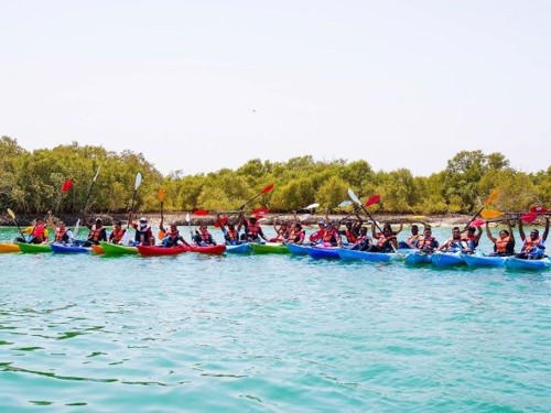 Field Trip 06: Kayak At Jubail Mangrove Park